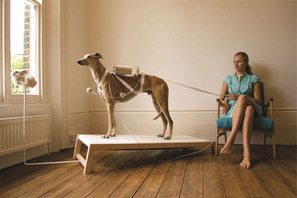 別世界への入口へ誘う展覧会「うさぎスマッシュ展 世界に触れる方法（デザイン）」 画像