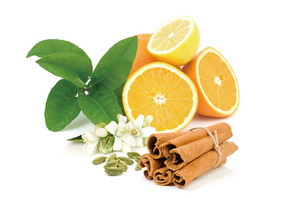 “美と健康を温めて養う”をテーマに冬の漢方ビューティーイベント開催 画像