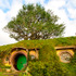 ホビット庄-(C) “Hobbiton Movie Set Tours” for Hobbiton