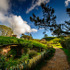 ホビット庄-(C) “Hobbiton Movie Set Tours” for Hobbiton