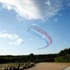 フランス空軍のアクロバット飛行によるパフォーマンス：ヴェルサイユ宮殿で開かれた「マーテル」のメゾン300周年を祝うセレブレーションにて。