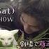 『猫侍　南の島へ行く』マナーCM　(C)2015「続・猫侍」製作委員会