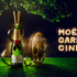 「MOET GARDEN CINEMA」