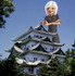 金のシャチホコが見える名古屋城