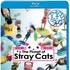 「～おとなのアニメ～ The Planet of Stray Cats」ジャケット写真　（C）2014 PLUS heads inc.