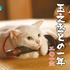 「猫侍カレンダー　玉之丞との一年二〇一六」　(C)2015「続・猫侍」製作委員会