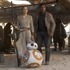 BB-8＆レイ＆フィン／『スター・ウォーズ／フォースの覚醒』- (C) 2015Lucasfilm-Ltd.-&-TM