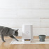 RINN Inc.が新作猫用水飲み器「Cat Water Bowl」の予約注文受付を開始