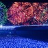 東京ミッドタウンで7月15日（金）から8月28日（日）まで「MIDTOWN ◇ SUMMER 2016」（ミッドタウン ◇ ラブズ サマー ※◇はハートマーク）開催！