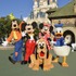 ディズニーの仲間たち　写真提供：テレビ朝日