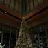 【丸ビル】シュタールバウム家のクリスマスツリー