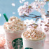 スタバで一足先に春を満喫！さくら商品が豊富にラインナップ