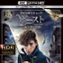 『ファンタスティック・ビーストと魔法使いの旅』4K ULTRA HD&3D&2D ブルーレイセット　(c) 2016 Warner Bros. Ent. All Rights Reserved. Harry Potter and Fantastic Beasts Publishing Rights (c) JKR.