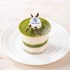 ヨックモック 青山店限定ケーキ「抹茶のティラミス」