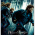 『ハリー・ポッターと死の秘宝 PART1』　-(C) 2010 WARNER BROS.ENTERTAINMENT INC. HARRY POTTER PUBLISHING RIGHTS (C) J.K.R.HARRY POTTER CHARACTERS, NAMES AND RELATED INDICIA ARE TRADEMARKS OF AND (C)WARNER BROS. ENT. ALL RIGHTS RESERVED