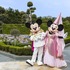 激レア！プリンスミッキーとプリンセスミニー