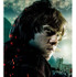 『ハリー・ポッターと死の秘宝 PART2』ロン・ウィーズリー -HARRY POTTER characters, names and related indicia are trademarks of and (C) Warner Bros. Entertainment Inc. Harry Potter Publishing Rights (C) J.K.R. (C) 2011 Warner Bros. Entertainment Inc. All rights reserved.