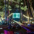 夜空と交差する森の映画祭