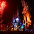 「Celebrate! Tokyo Disneyland」