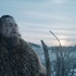 『レヴェナント：蘇えりし者』（C）2016 Twentieth Century Fox