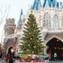 ディズニーのXmas☆