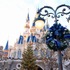 TDLで話題の生木のクリスマスツリー☆(C) Disney