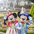 ニュールックのミッキー＆ミニー☆(C) Disney