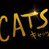 『キャッツ』（C）2019 Universal Pictures. All Rights Reserved.　