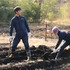 「今夜くらべてみました元日3時間SP2020!!」（C）NTV