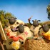 「ひつじのショーン」（C）Aardman Animations Limited 2006.