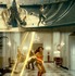 『ワンダーウーマン 1984』　（C）2020 Warner Bros. Ent. All Rights Reserved TM & （C） DC Comics