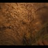 「キングダム：アシンの物語」は7月23日よりNetflixにて配信