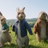 『ピーターラビット』（C） 2018 Columbia Pictures Industries, Inc., 2.0 Entertainment Financing, LLC and MRC II Distribution Company L.P. All Rights Reserved. | PETER RABBIT and all associated characters TM & （C） Frederick Warne & Co Limited.