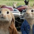 『ピーターラビット』（C） 2018 Columbia Pictures Industries, Inc., 2.0 Entertainment Financing, LLC and MRC II Distribution Company L.P. All Rights Reserved. | PETER RABBIT and all associated characters TM & （C） Frederick Warne & Co Limited.