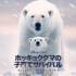 「ディズニーネイチャー／ホッキョクグマの子育てサバイバル」（C） 2022 Disney