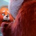 『私ときどきレッサーパンダ』（C）2022 Disney/Pixar