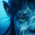 『アバター：ウェイ・オブ・ウォーター』(C)2022 20th Century Studios. All Rights Reserved.