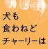 『犬も食わねどチャーリーは笑う』（C）2022 “犬も食わねどチャーリーは笑う”FILM PARTNERS