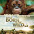 『Born To Be Wild 3D -野生に生きる-』©2010 Warner Bros. Ent. All Rights Reserved