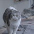 『猫たちのアパートメント』©2020 MOT FILMS All rights reserved.