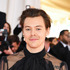 ハリー・スタイルズ Photo by Dimitrios Kambouris/Getty Images for The Met Museum/Vogue