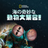 『海の奇妙な動物大集合！』© 2023 National Geographic Partners LCC.