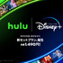 Hulu | Disney+ セットプラン