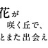 『あの花が咲く丘で、君とまた出会えたら。』（C）2023「あの花が咲く丘で、君とまた出会えたら。」製作委員会