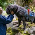 『ルー、パリで生まれた猫』　© 2023 MC4–ORANGE STUDIO–JMH & FILO Films