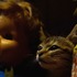 『ルー、パリで生まれた猫』　© 2023 MC4–ORANGE STUDIO–JMH & FILO Films