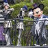 TDLで人気の期間限定「スプーキー“Boo!”パレード」、コワくて楽しいパレードの魅力を紹介 As to Disney artwork, logos and properties： (C) Disney
