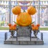 撮影スポットが盛りだくさん！！東京ディズニーランド「ディズニー・ハロウィーン」デコレーションを紹介 As to Disney artwork, logos and properties： (C) Disney