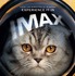 IMAXシアター限定ビジュアル『ARGYLLE／アーガイル』© Universal PicturesIMAX® is a registered trademark of IMAX Corporation.