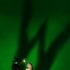 『Wicked: Part One（原題）』©APOLLO